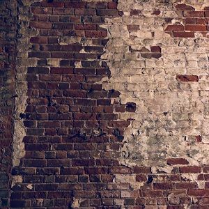 Meet your Posher, Timothy